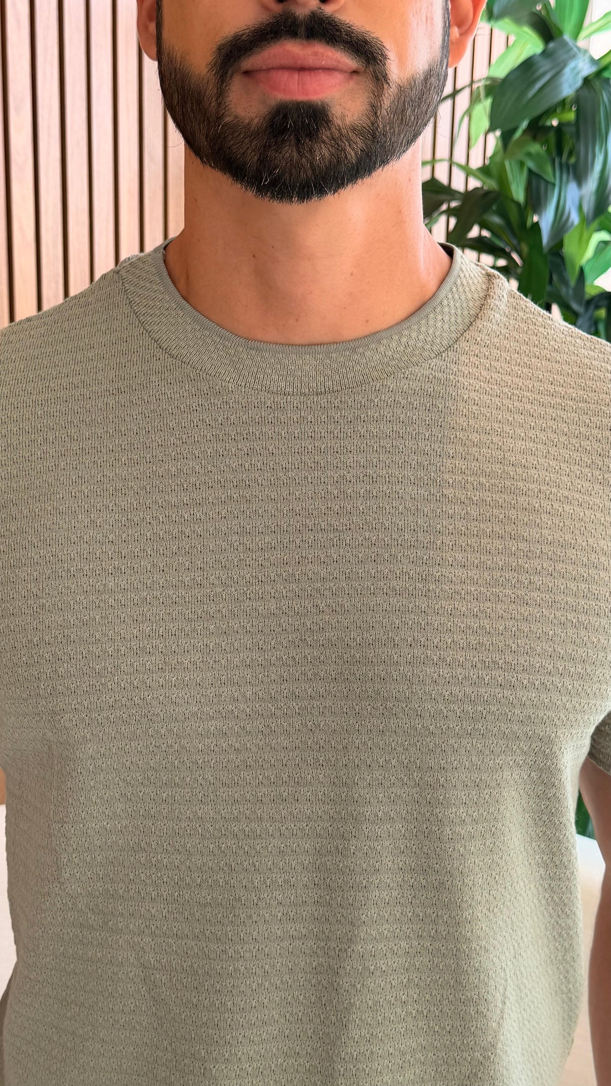 CAMISETA TRIUNFO TEXTURIZADA VERDE